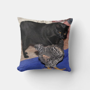 Coussin Observateurs