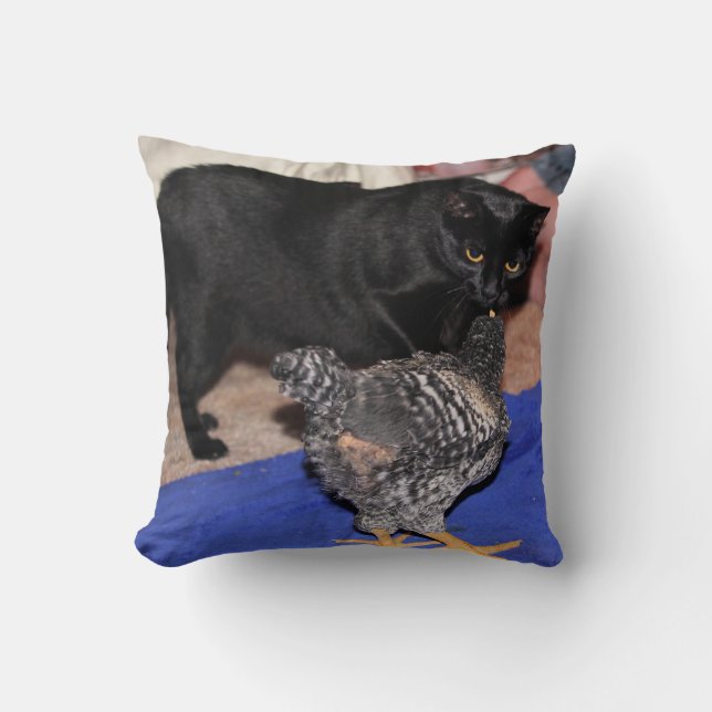 Coussin Observateurs (Recto)