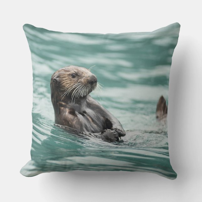 Coussin Observation de la Loupe de mer (Recto)