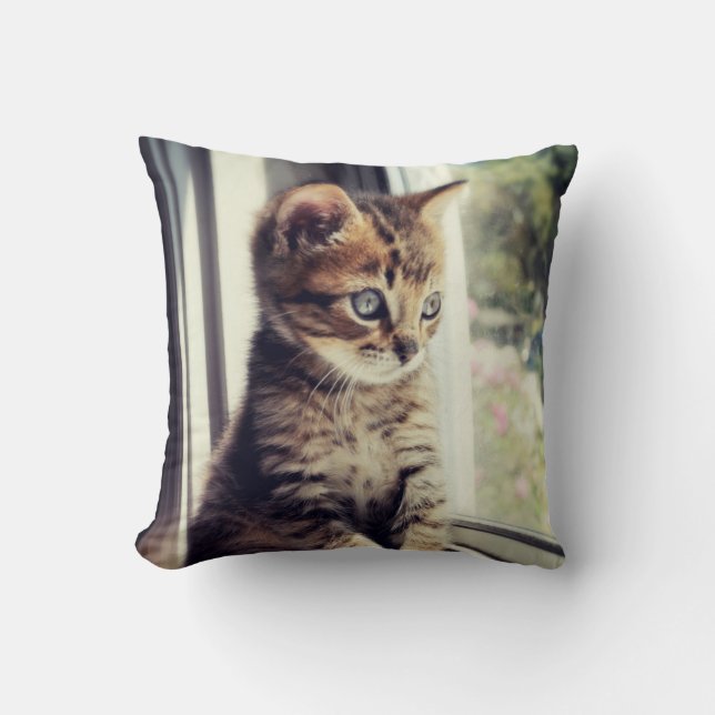 Coussin Observation tigrée de chaton (Recto)