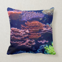 Océan sous l'eau, vie marine, image réelle