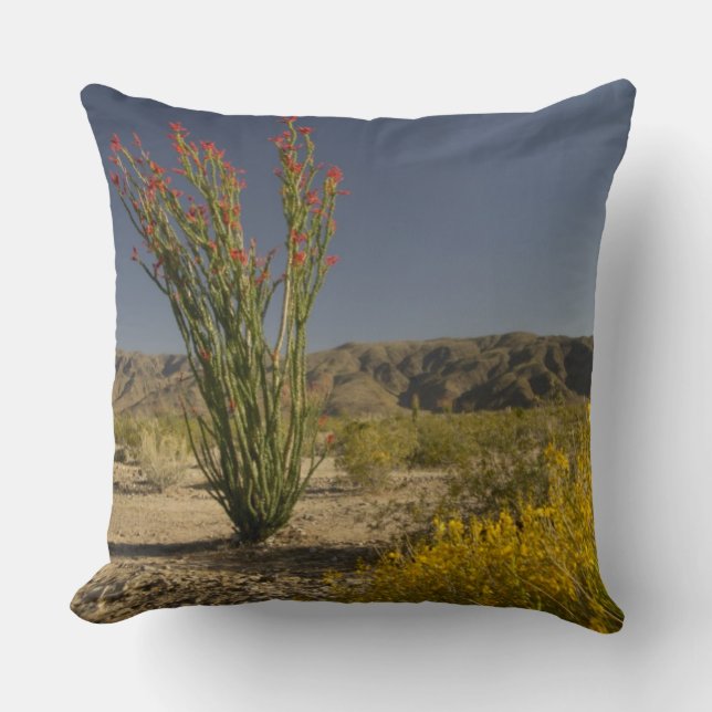 Coussin Ocotillo et séné du désert (Recto)