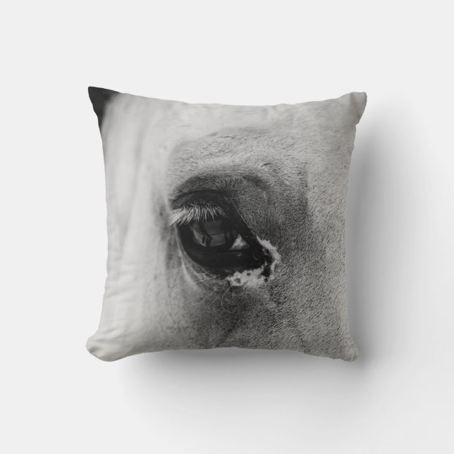 COUSSIN OEIL DU CHEVAL BLANC (Recto)