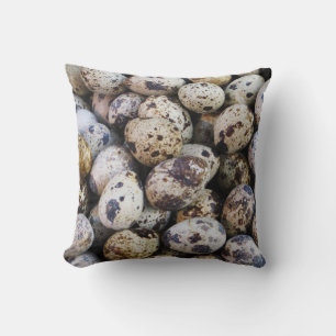Coussin Oeufs de caille