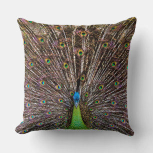 Coussin Œuvre d'art élégante de paon et de plume