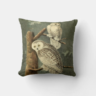 Coussin OEuvre d'OEuf Audubon