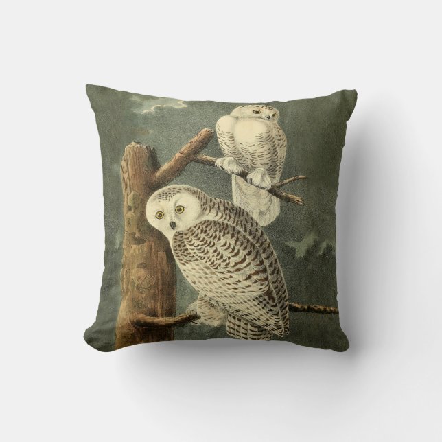 Coussin OEuvre d'OEuf Audubon (Recto)