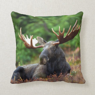 Coussin Oie