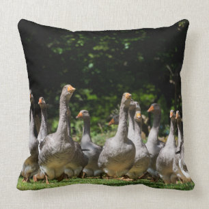 Coussin Oies dans le carreau de Dordogne