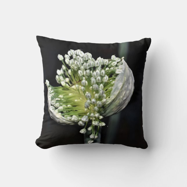 Coussin Oignon de printemps (Recto)