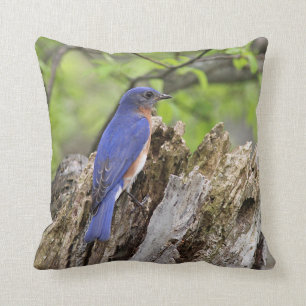 Coussin Oiseau bleu
