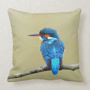 Coussin Oiseau bleu de martin-pêcheur