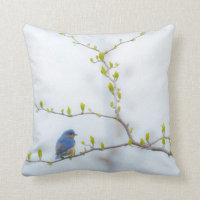 Oiseau bleu oriental d'oiseau animal