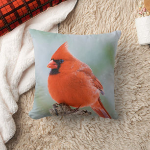 Coussin Oiseau cardinal de sexe masculin rouge dans la nat