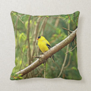 Coussin Oiseau chanteur américain de chardonneret -