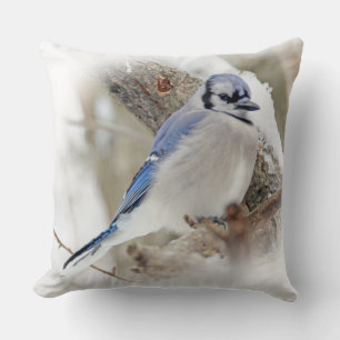 Coussin Oiseau chanteur de geai bleu dans la neige