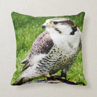 Coussin Oiseau de faucon de la proie #2-Peregrine
