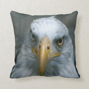 Coussin Oiseau de la proie #21-Bald Eagle