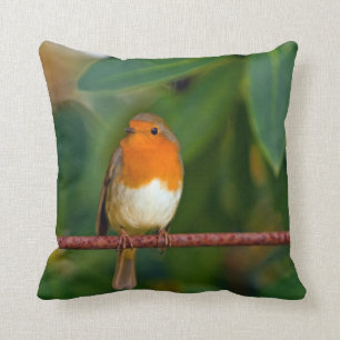 Coussin Oiseau de Robin