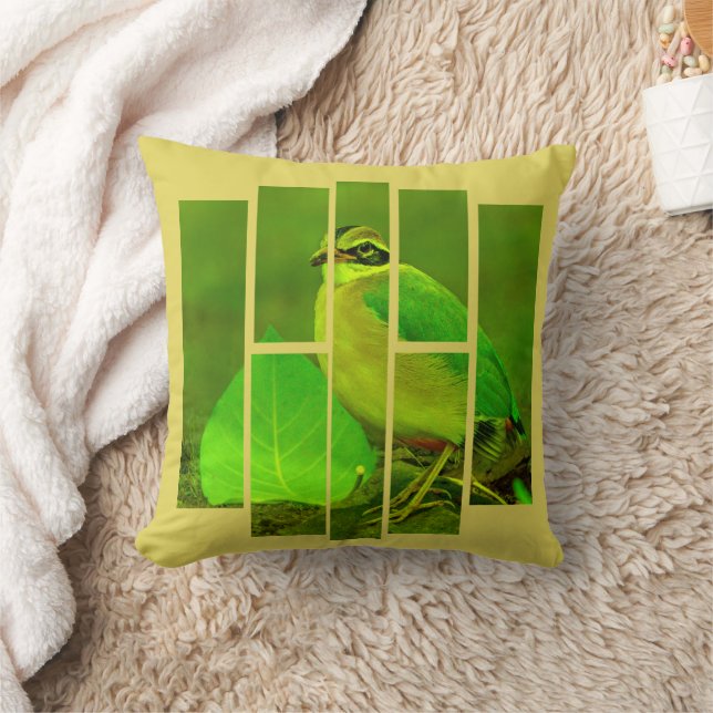 Coussin Oiseau du Groenland (Couverture)