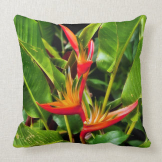 Coussin Oiseau du paradis par Madeline Ellis