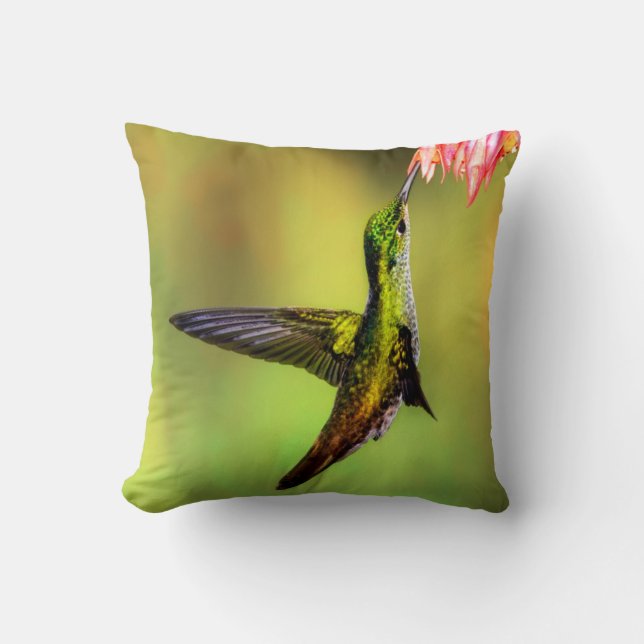 Coussin Oiseau rose de colibri (Recto)