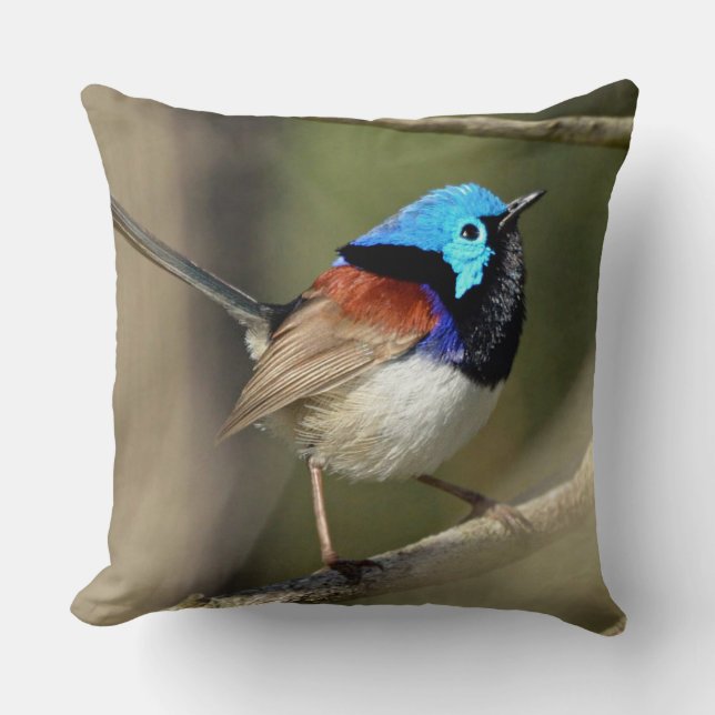 Coussin Oiseau - Verseau à feuilles variées (Recto)