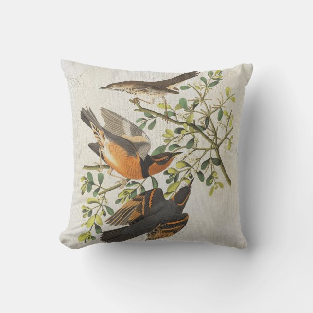 Coussin Oiseaux bleus vintages Oiseaux Observation d'oisea (Recto)