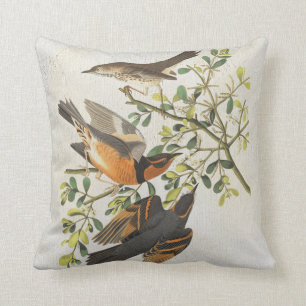 Coussin Oiseaux bleus vintages Oiseaux Observation d'oisea