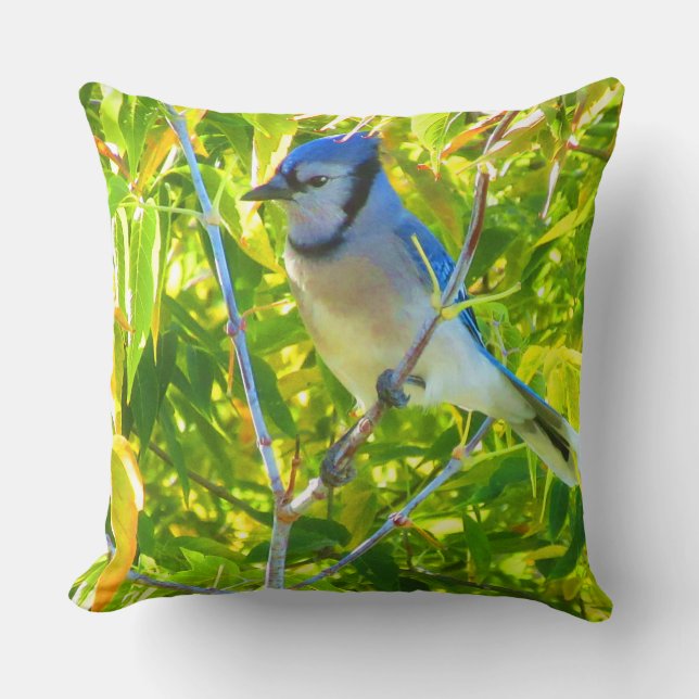 Coussin Oiseaux Canada Oie Bleu Nord Jay Personnalisé 2 Ph (Recto)