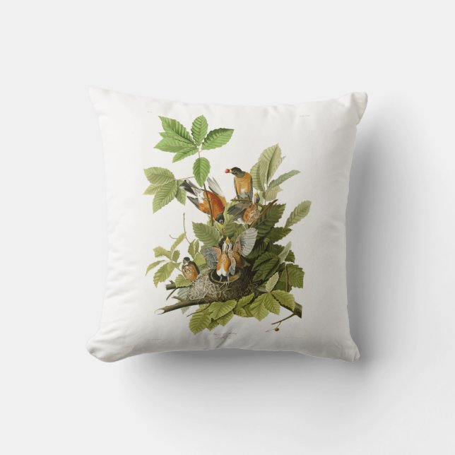 Coussin Oiseaux de Robin John James Audubon d'Américain de (Recto)