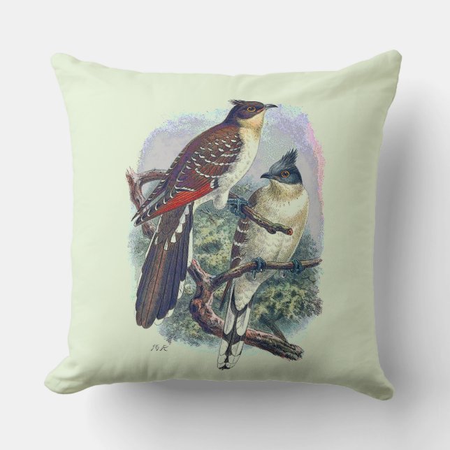 Coussin Oiseaux de Vintage Réversibles Nature Faune (Recto)