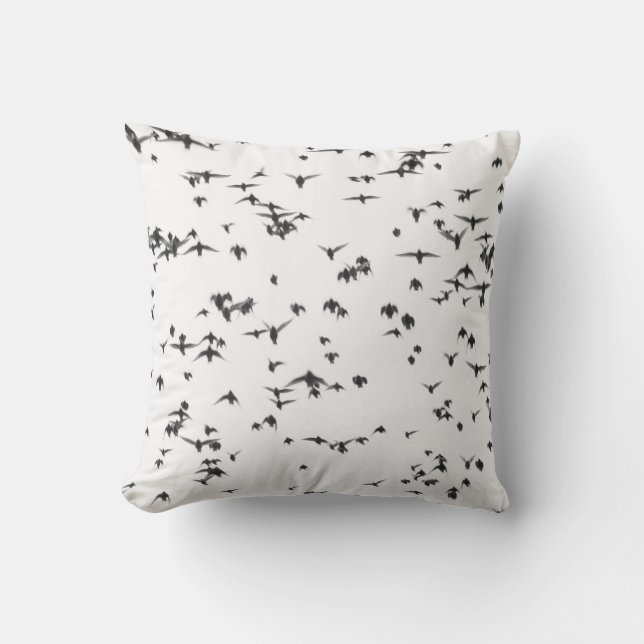 COUSSIN OISEAUX NOIRS VOLANT SUR LE CIEL (Recto)