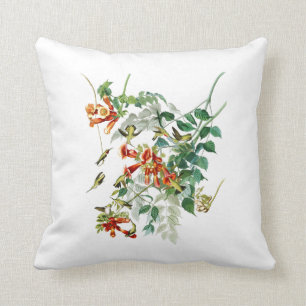 Coussin oiseaux Rubis-throated Amérique d'Audubon d'oiseau