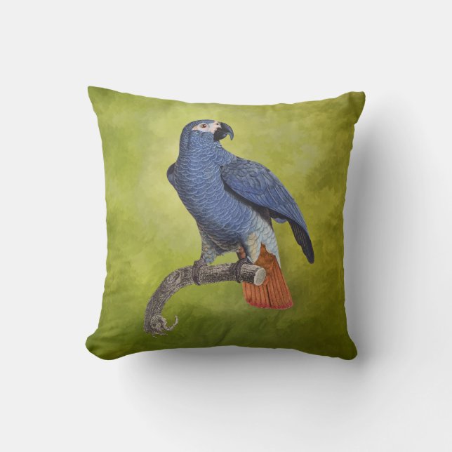 Coussin Oiseaux tropicaux Illustration du perroquet Vintag (Recto)