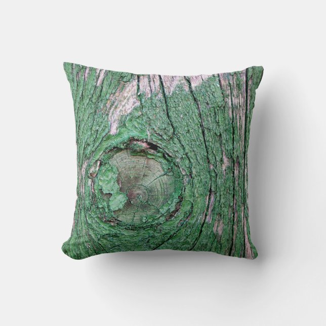 Coussin Old Weathered Painted Green Wood Background Textur (Recto)