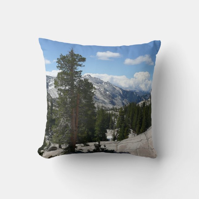 Coussin Olmsted Point III dans le parc national de Yosemit (Recto)