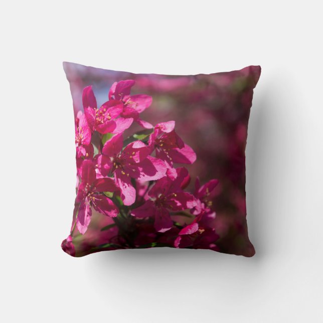 Coussin Ombres de pomme de crabe (Recto)