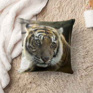 Coussin Orange à rayures noires Bengale photo tigre