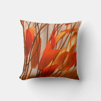 Coussin Orange coloré