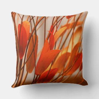 Coussin Orange coloré