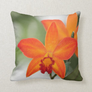 Coussin orange de coton d'orchidée