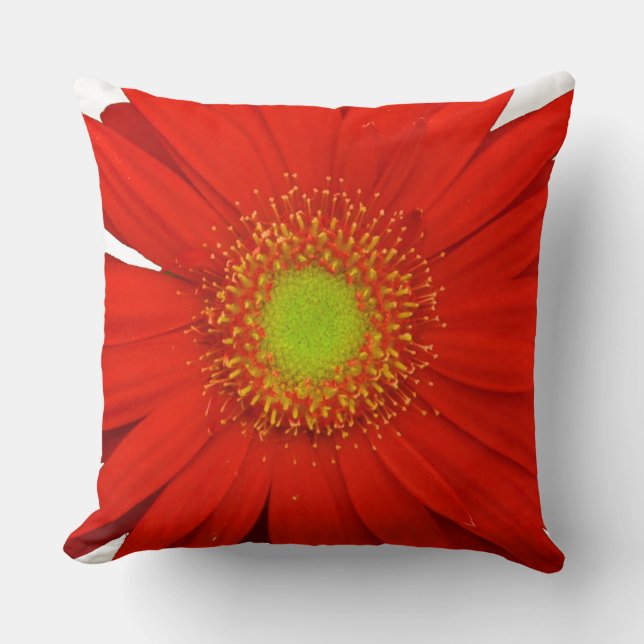 Coussin Orange Gerbera Daisy Flower (Recto)