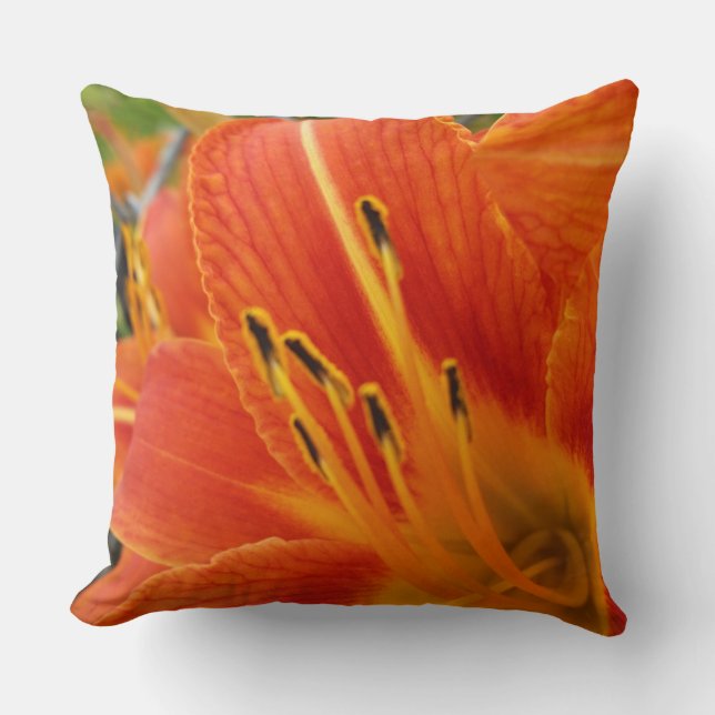 Coussin orange lumineuse (Recto)