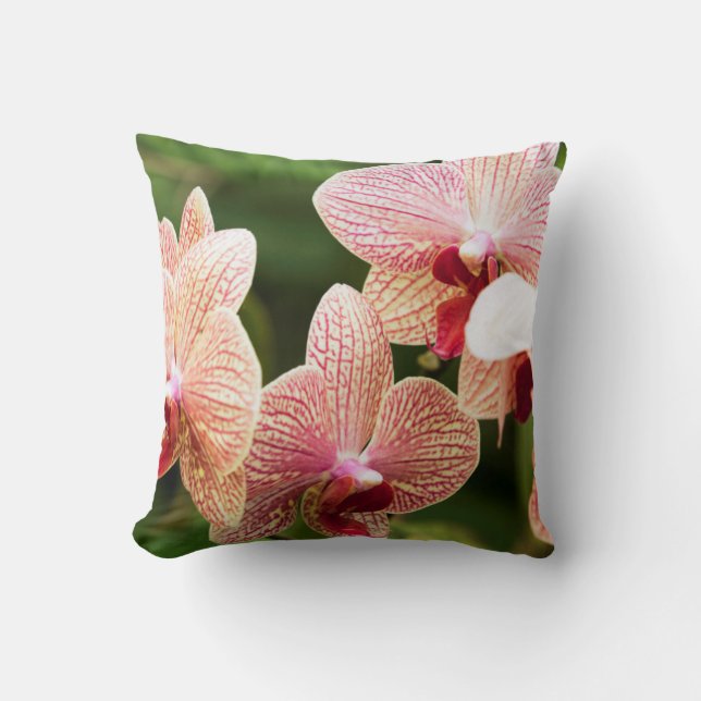 Coussin Orange Orchid Hybrid, Afrique du Sud (Recto)