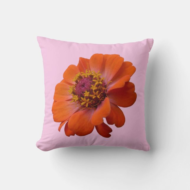 Coussin Orange Zinnia Fleur sauvage Nature Florale (Recto)