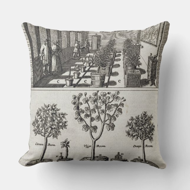 Coussin Orangerie, de "De Nederlandze Hesperides" avant (Recto)