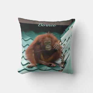 Coussin Orangutan sauvage sur le toit à Bornéo photo