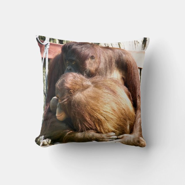 COUSSIN ORANGUTANS (Recto)
