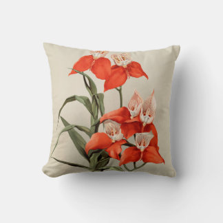 Coussin Orchidées Fleur florissante Vintage vieille illust